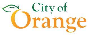 Draw Orange Logo